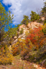 AZ-Grand Canyon-N Rim-Saddle Mt, Wilderness-Nankoweep Trail  h