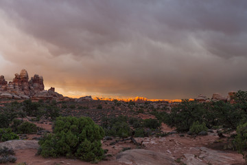 UT-Canyonlands National Park-The Maze-Dollhouse