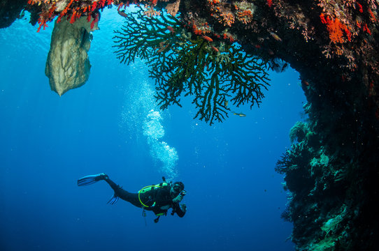 Diver swimming around in Banda, Indonesia underwater