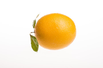 Fresh orange isolated on white background