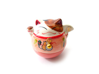 cute lucky cat isolated on white background