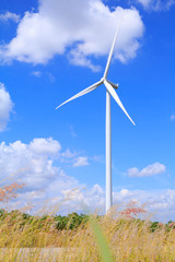 Fototapeta premium Wind turbine