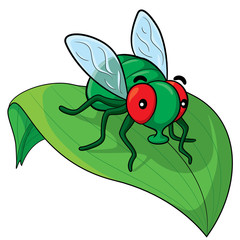 Fly Cartoon