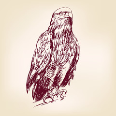 Obraz premium Eagle - vector illustration