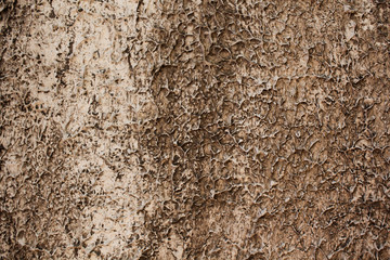 background texture