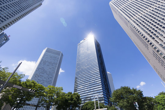 新宿高層ビル街を見上げる 青空と緑　そしてビルに差す太陽