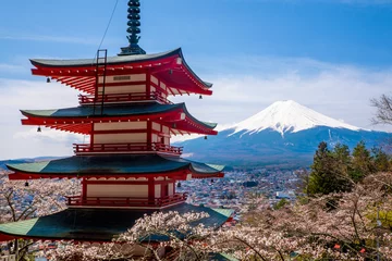 Afwasbaar Fotobehang Japan De berg Fuji, Japan
