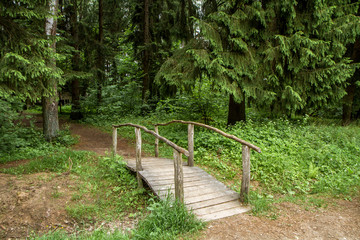 Fototapeta premium bridge over a creek next