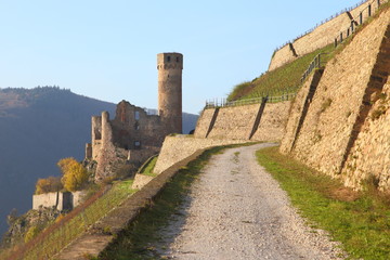 Fototapeta na wymiar Burg Ehrenfels am Rhein (November 2014)