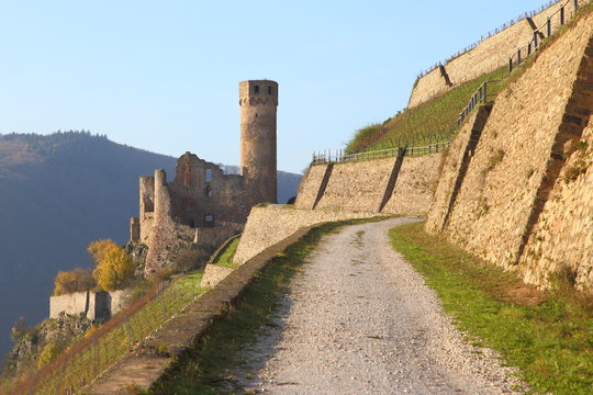 Burg Ehrenfels am Rhein (November 2014)