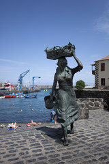 Am Fischereihafen von Puerto de la Cruz auf der Insel Teneriffa