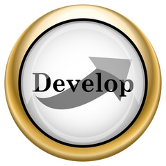 Develop icon