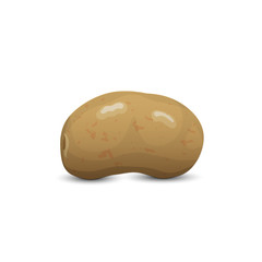 Potato isolated on white