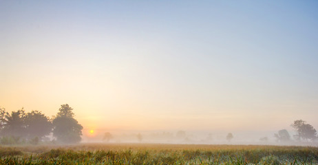 Rice fields in the morning with fog