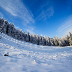 antastic blue sky and snow-covered trees in the mountains