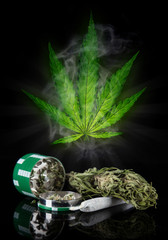 Dried cannabis plant, marijuana