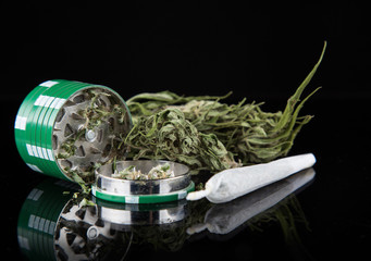 Dried cannabis plant, marijuana