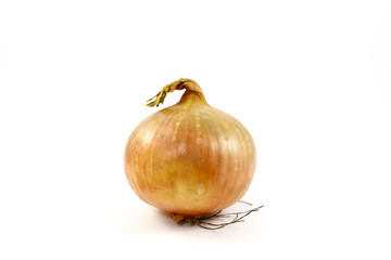 Onion on a white background