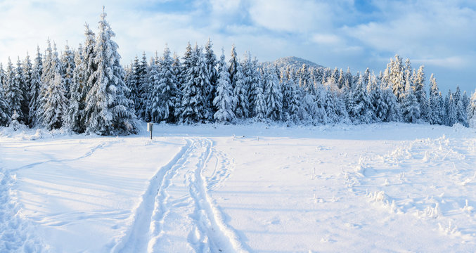 Fototapeta winter road