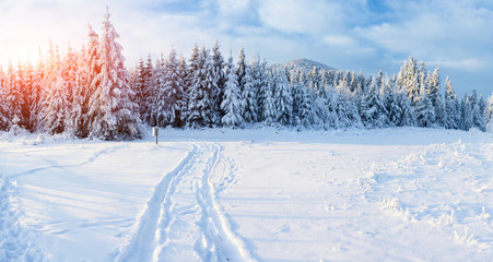 winter road