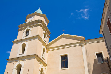 Fototapeta na wymiar Mother Church of Viggianello. Basilicata. Italy.