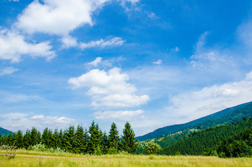 Fototapeta premium in the green mountains