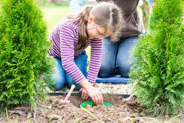 Mother and daughter planting tulip bulbs