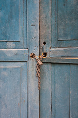 Old blue wooden door Locked with a chain and padlock