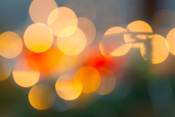 blurred colored lights glowing from the shadow of fir branches