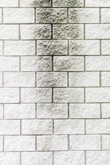 Obraz premium White brick wall