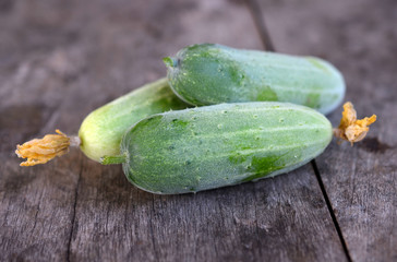 cucumberon wooden background