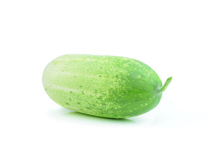 A fresh and tasty green vine ripened garden grown cucumber isola