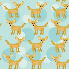 Africa Fennec Fox Seamless pattern with funny cute animal on a