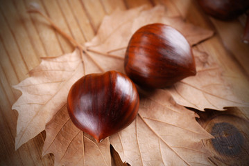 castagne sulla foglia secca