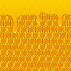 honey drops honeycomb background