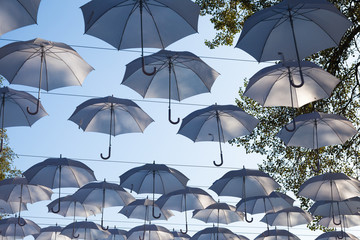 Fototapeta na wymiar Umbrellas hanging on the trees, the holiday