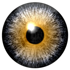 Abstract yellow eye isolated on white