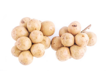 Wollongong on white background