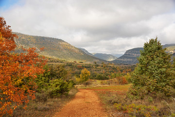 colores de otoño en el valle del ebro