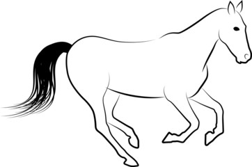 sketch of horse