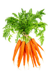 Fresh carrots with green leaves. Vegetable. Food