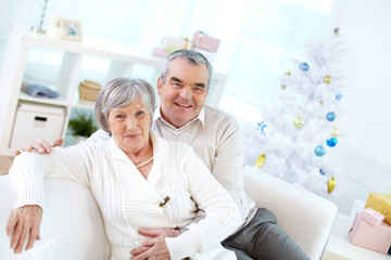 Obraz premium At home