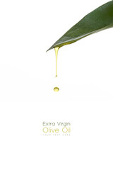 Beauty Treatment. Olive oil dripping from a fresh green leaf
