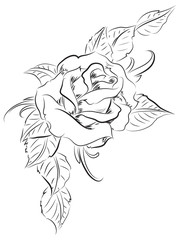 Rose with leaves digital tablet drawing