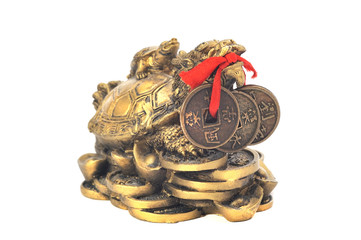 Chinese dragon turtle symbol of money on a white background