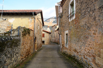 Fototapeta na wymiar calle en pueblo tipico con casas de piedra (pesquera de ebro)