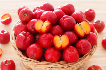 Malpighia glabra - red acerola, tropical fruit-bearing shrub in