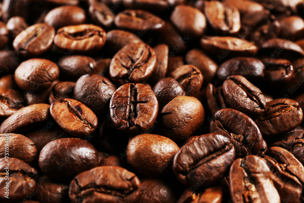 Wall mural coffee beans, close-up