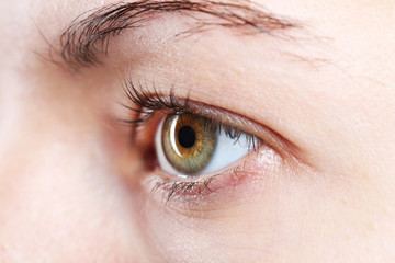 Female eye close-up