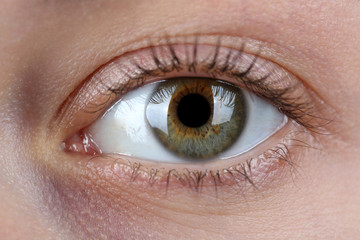 Fototapeta premium Female eye close-up